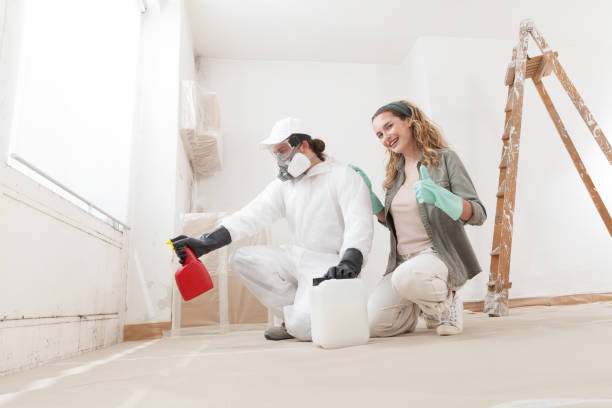 Best Water Damage & Mold Remediation  in Marysville, MI